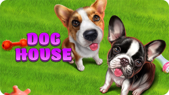 Dog House